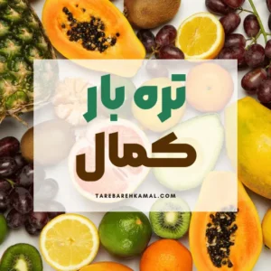 خرید عمده میوه صادراتی
